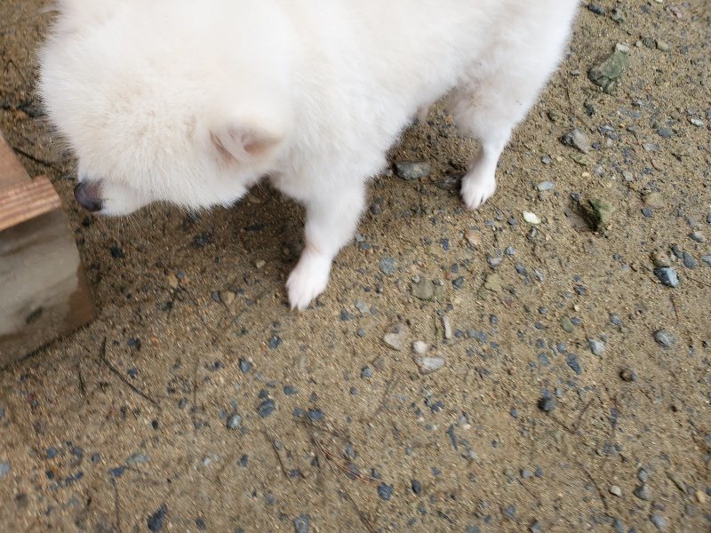 f:id:roukenhome-ann:20191021132239j:plain