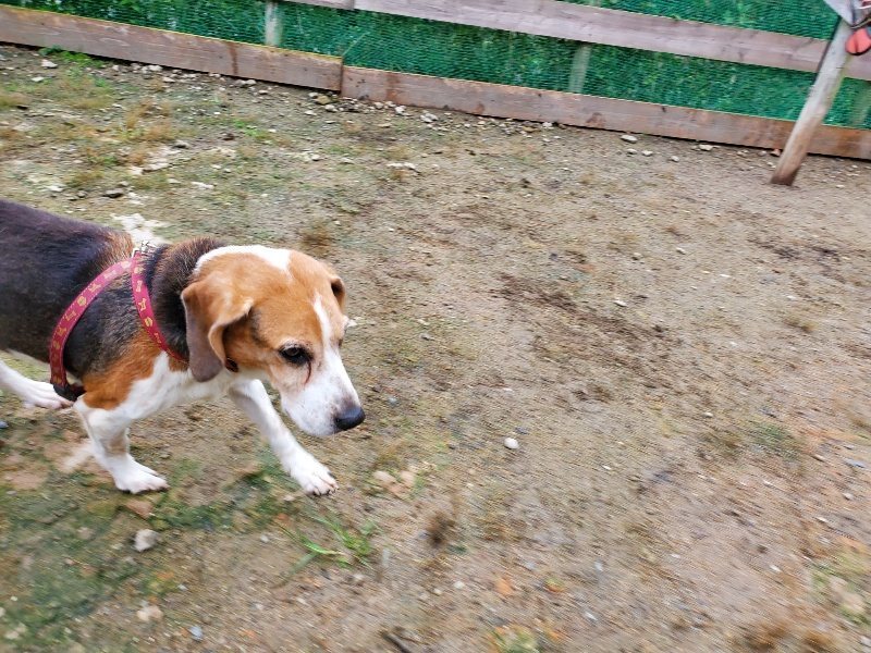 f:id:roukenhome-ann:20191021132309j:plain