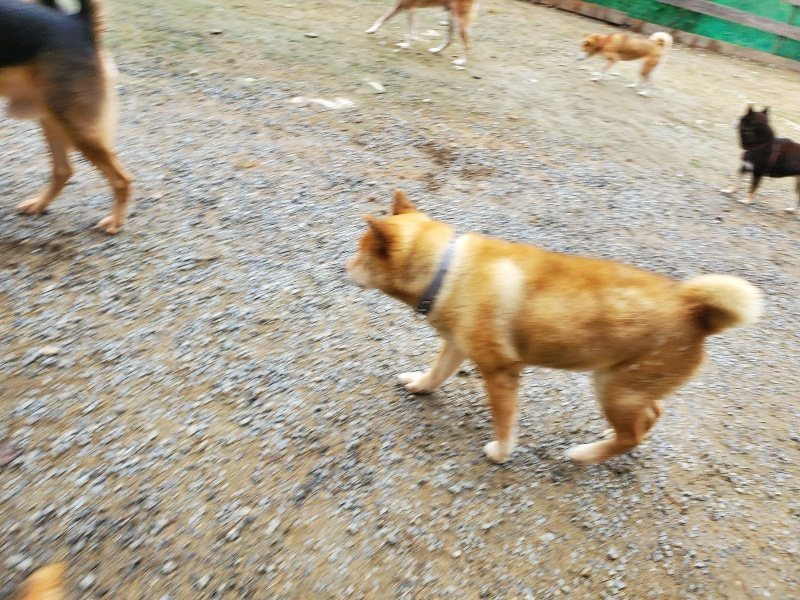 f:id:roukenhome-ann:20191021132410j:plain