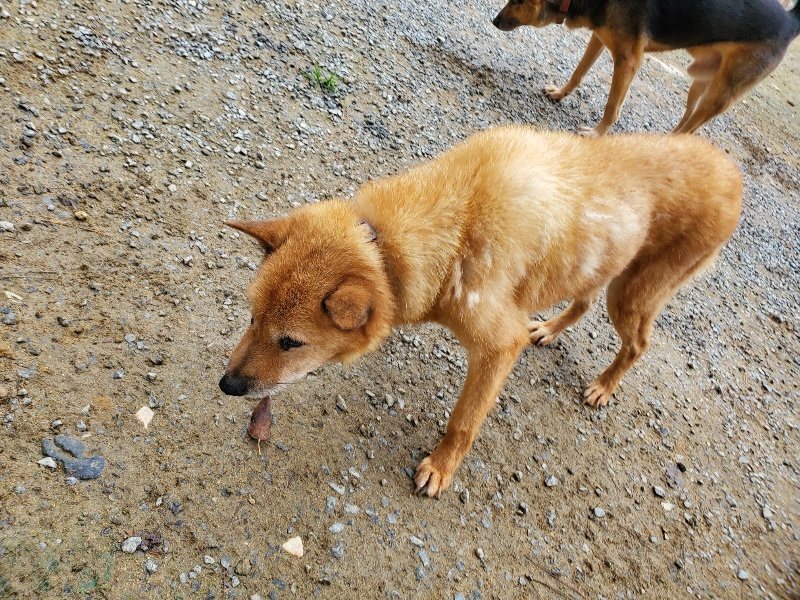 f:id:roukenhome-ann:20191021132421j:plain