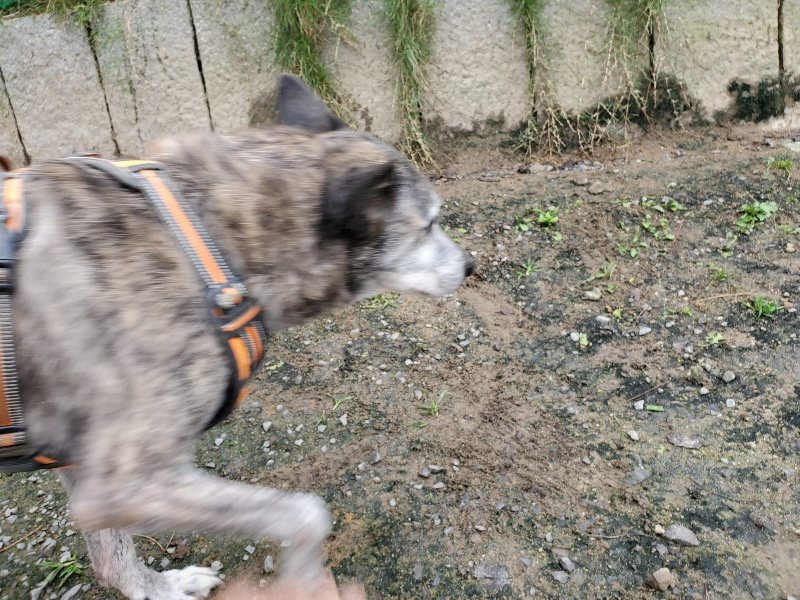 f:id:roukenhome-ann:20191021132446j:plain