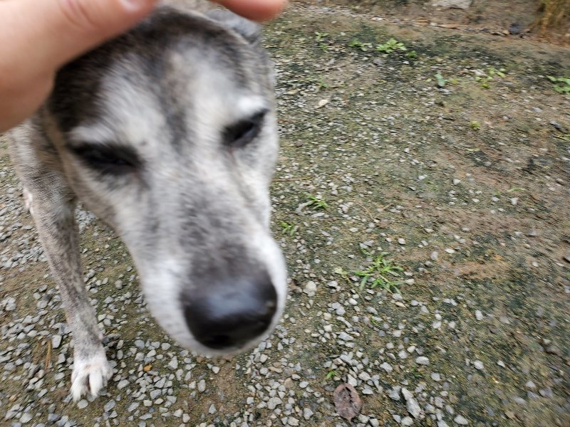 f:id:roukenhome-ann:20191021132503j:plain