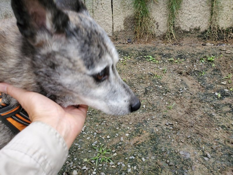 f:id:roukenhome-ann:20191021132512j:plain