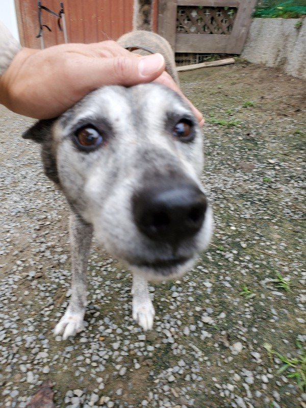 f:id:roukenhome-ann:20191021132517j:plain