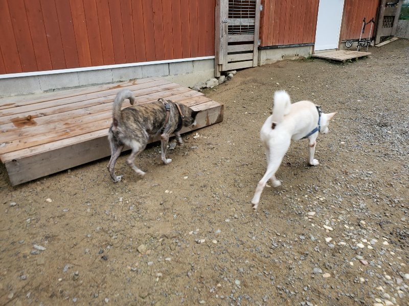 f:id:roukenhome-ann:20191021132533j:plain