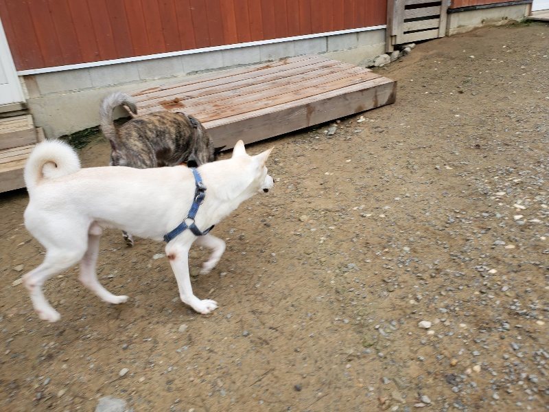 f:id:roukenhome-ann:20191021132602j:plain