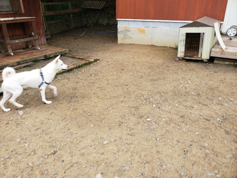 f:id:roukenhome-ann:20191021132609j:plain
