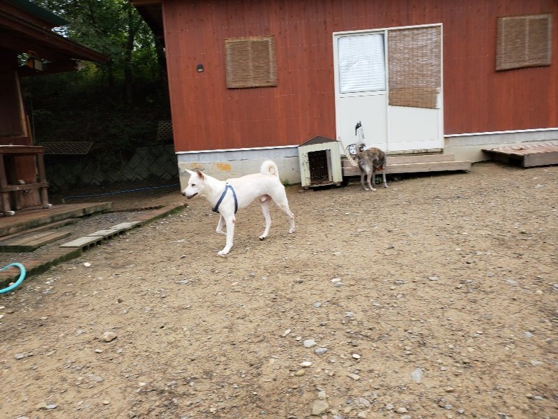 f:id:roukenhome-ann:20191021132615j:plain
