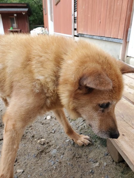 f:id:roukenhome-ann:20191021132620j:plain