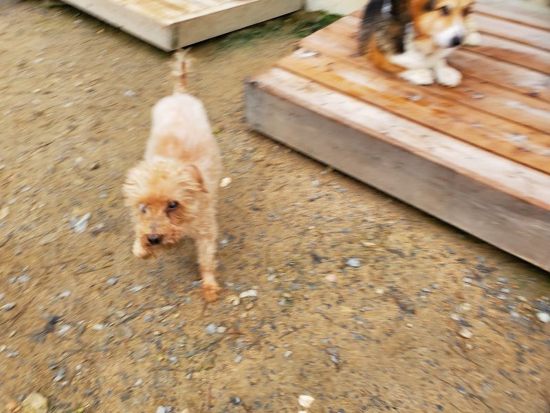 f:id:roukenhome-ann:20191021133121j:plain