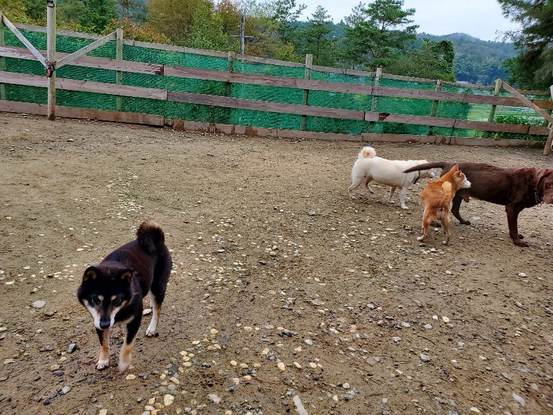 f:id:roukenhome-ann:20191021133127j:plain