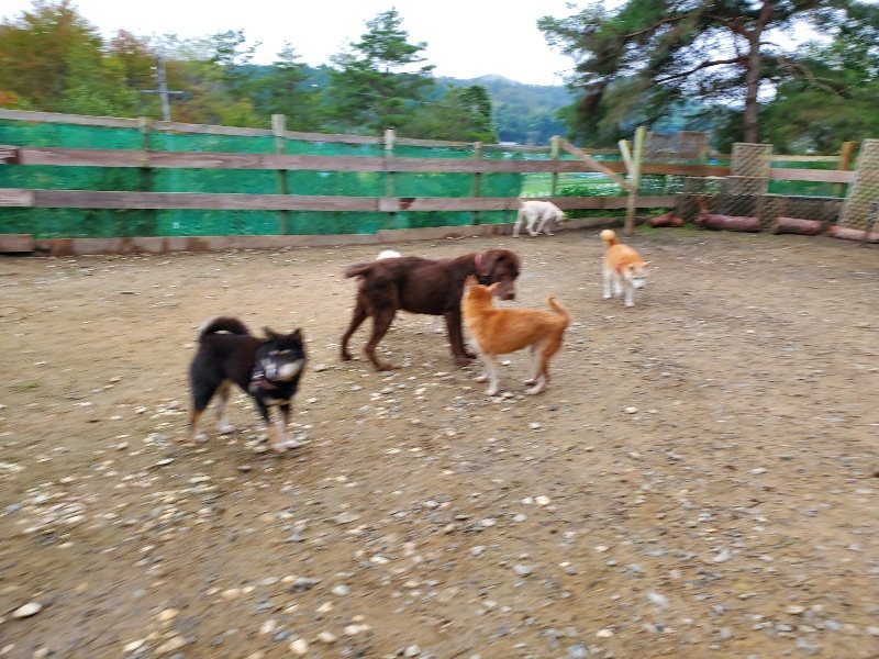 f:id:roukenhome-ann:20191021133133j:plain
