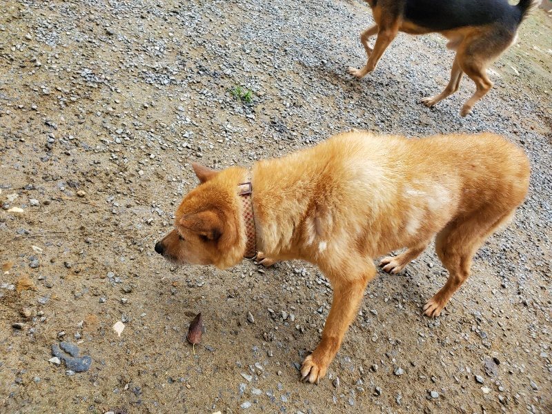 f:id:roukenhome-ann:20191021133145j:plain
