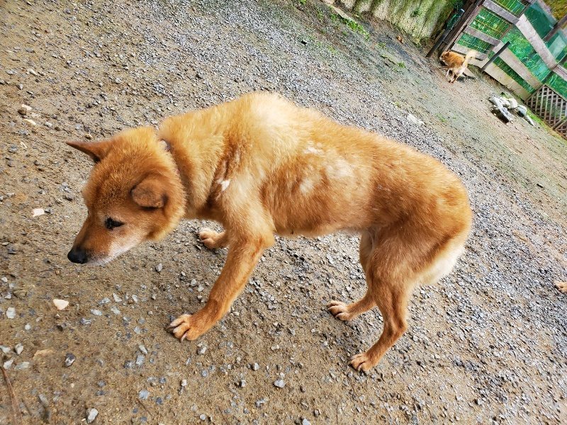 f:id:roukenhome-ann:20191021133201j:plain