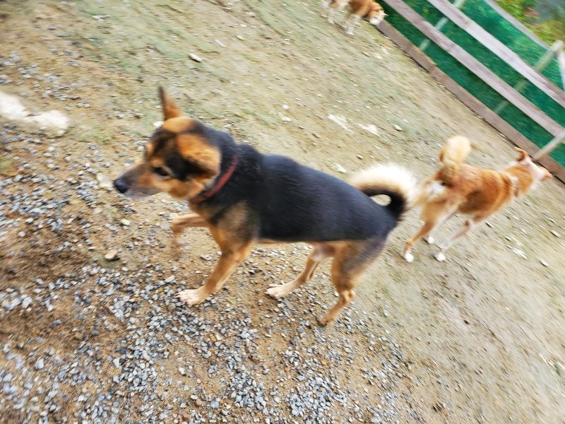 f:id:roukenhome-ann:20191021133233j:plain