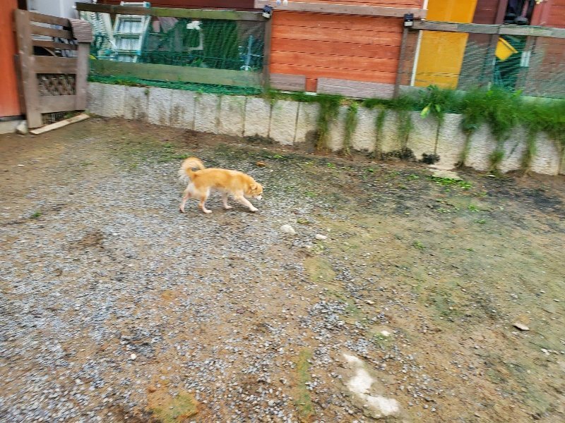 f:id:roukenhome-ann:20191021133250j:plain