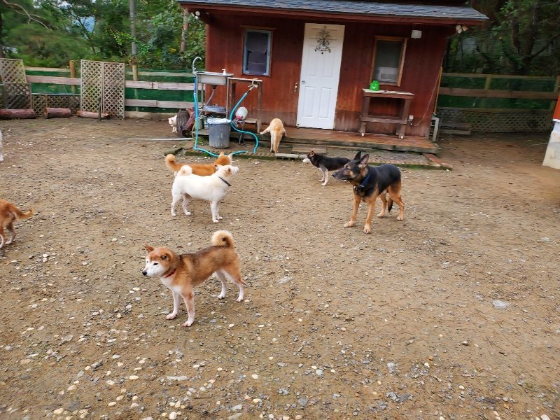 f:id:roukenhome-ann:20191021133257j:plain