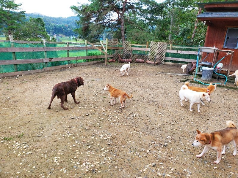 f:id:roukenhome-ann:20191021133306j:plain