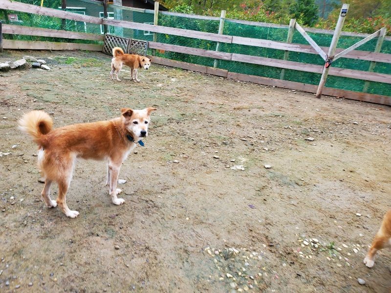 f:id:roukenhome-ann:20191021133313j:plain