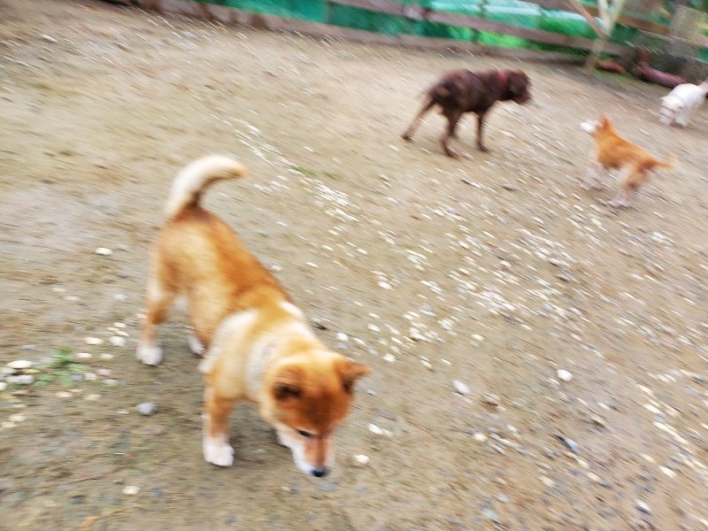 f:id:roukenhome-ann:20191021133318j:plain