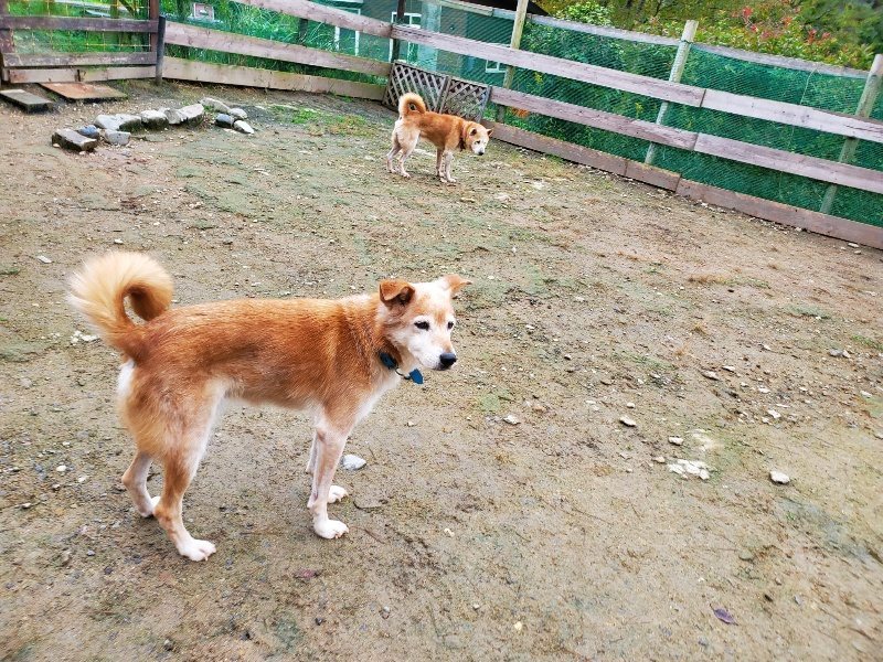 f:id:roukenhome-ann:20191021133329j:plain