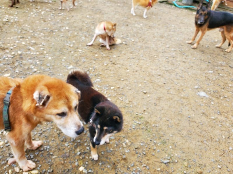 f:id:roukenhome-ann:20191021133341j:plain