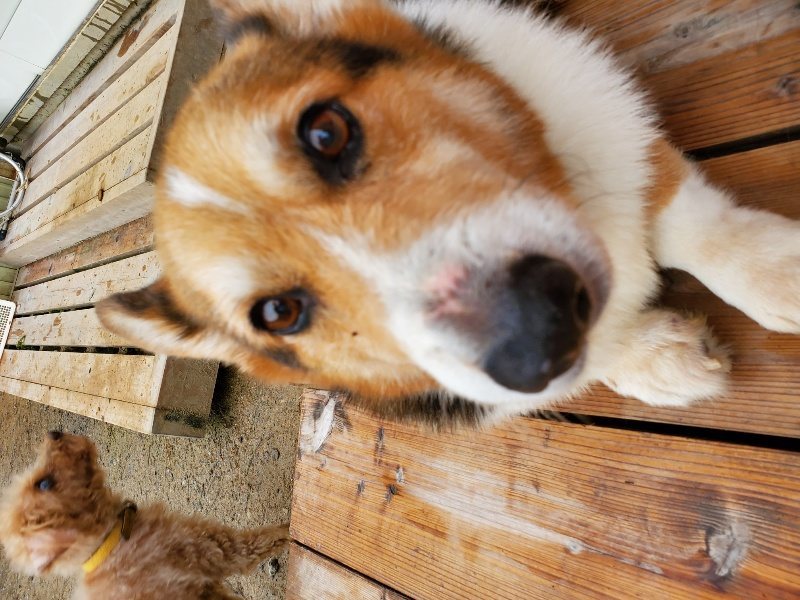 f:id:roukenhome-ann:20191021133405j:plain