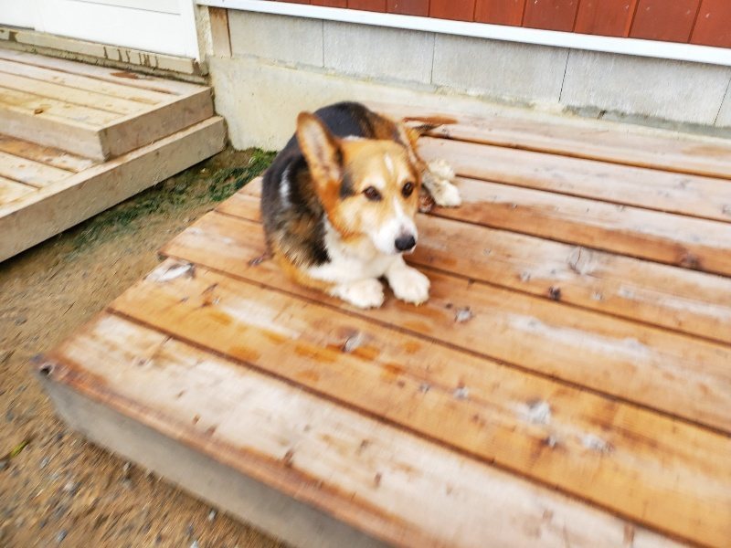 f:id:roukenhome-ann:20191021133432j:plain