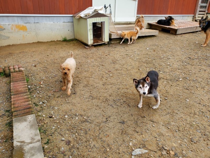 f:id:roukenhome-ann:20191021133548j:plain