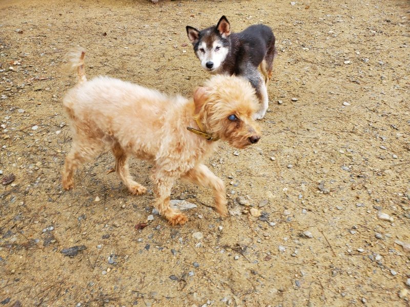 f:id:roukenhome-ann:20191021133555j:plain
