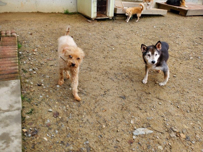 f:id:roukenhome-ann:20191021133602j:plain