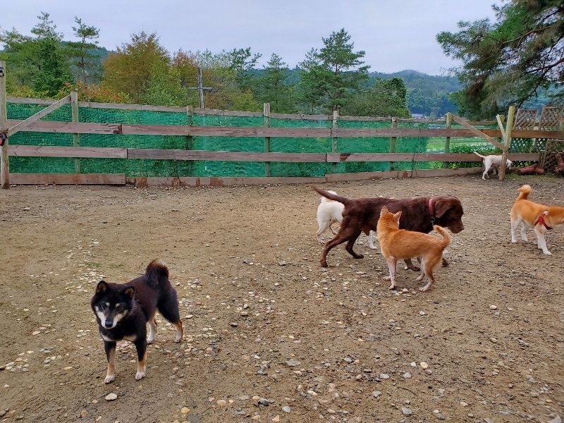 f:id:roukenhome-ann:20191021133614j:plain
