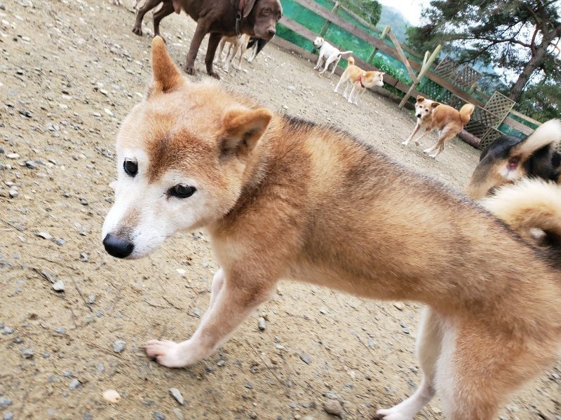 f:id:roukenhome-ann:20191021133659j:plain