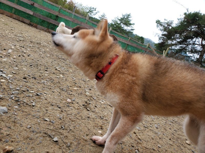 f:id:roukenhome-ann:20191021133707j:plain