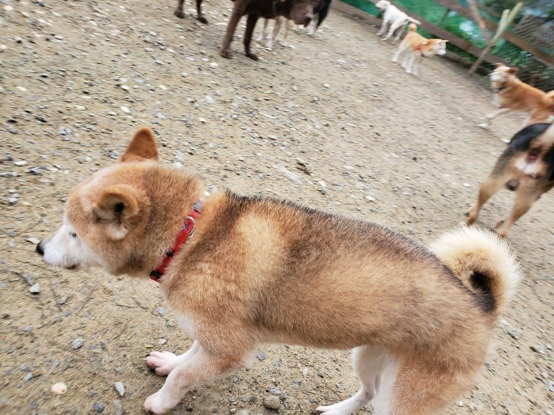 f:id:roukenhome-ann:20191021133713j:plain