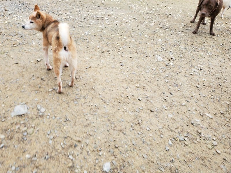 f:id:roukenhome-ann:20191021133735j:plain