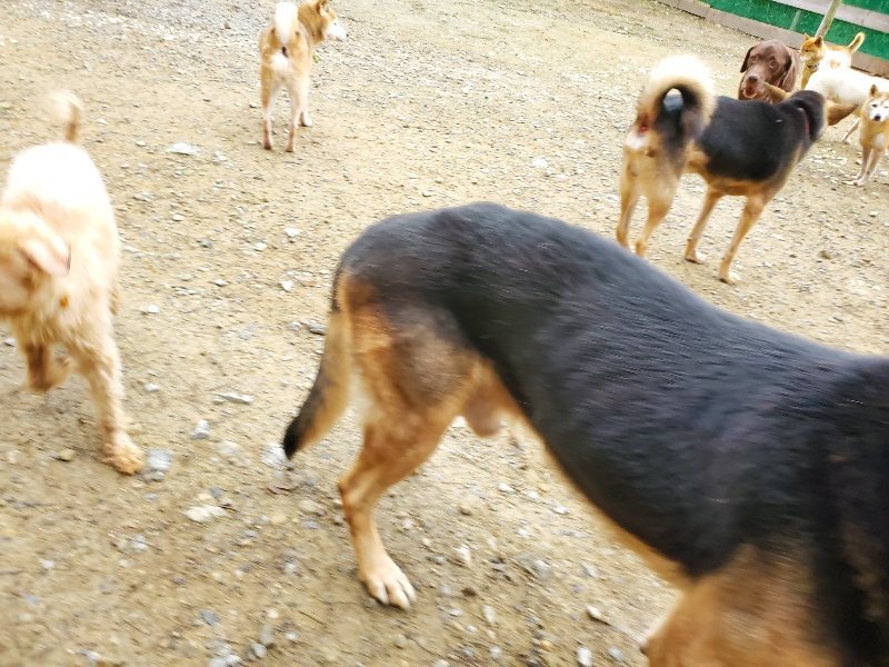f:id:roukenhome-ann:20191021133753j:plain