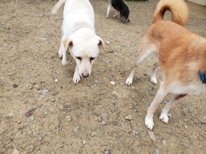 f:id:roukenhome-ann:20191021134007j:plain