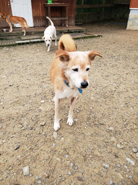 f:id:roukenhome-ann:20191021134012j:plain