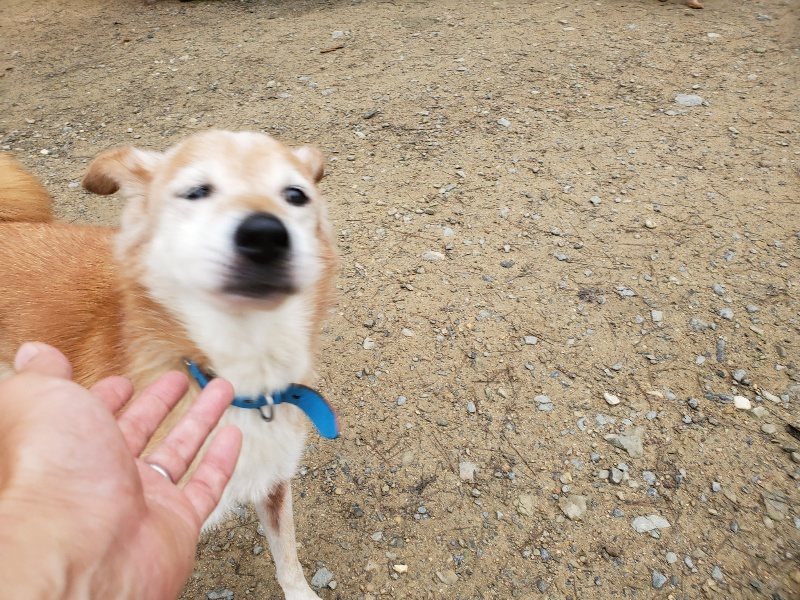f:id:roukenhome-ann:20191021134018j:plain