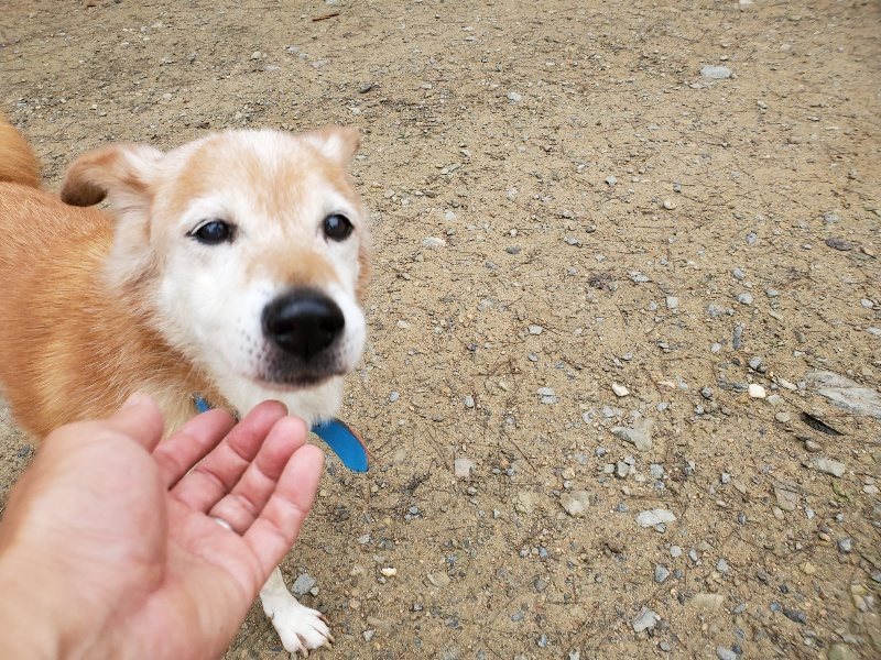f:id:roukenhome-ann:20191021134029j:plain