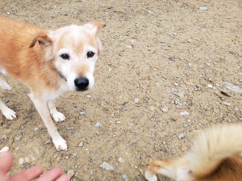 f:id:roukenhome-ann:20191021134046j:plain