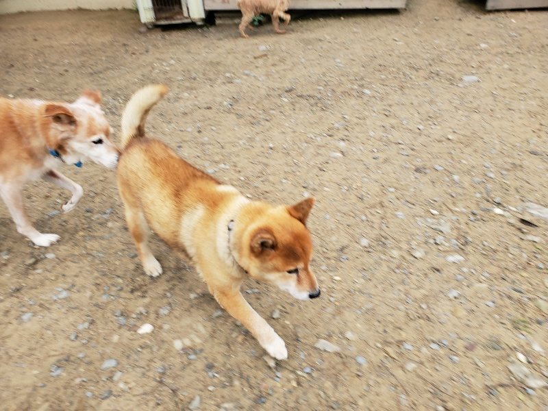 f:id:roukenhome-ann:20191021134051j:plain