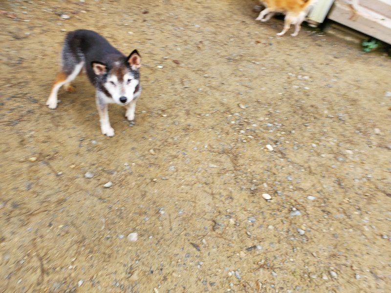 f:id:roukenhome-ann:20191021134106j:plain