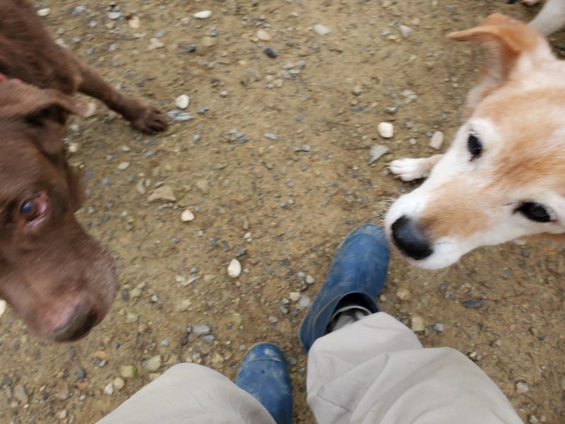 f:id:roukenhome-ann:20191021134143j:plain