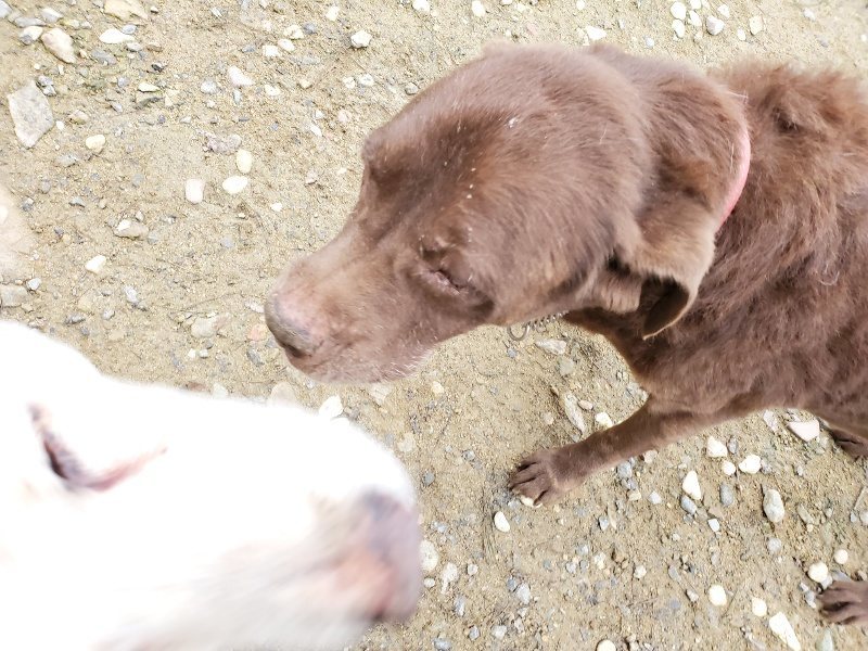 f:id:roukenhome-ann:20191021134245j:plain