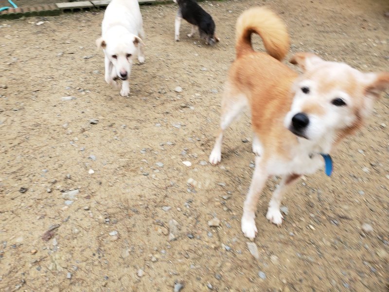f:id:roukenhome-ann:20191021134326j:plain