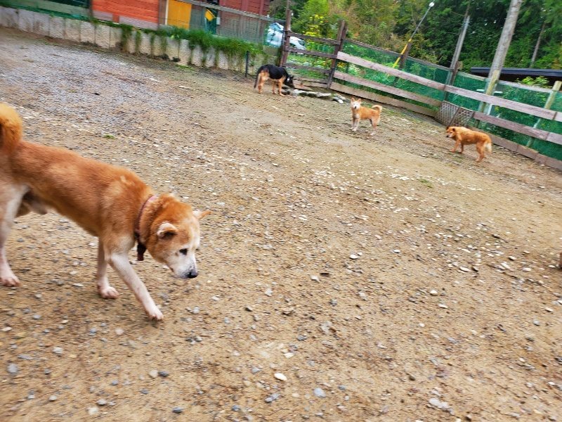 f:id:roukenhome-ann:20191021134430j:plain