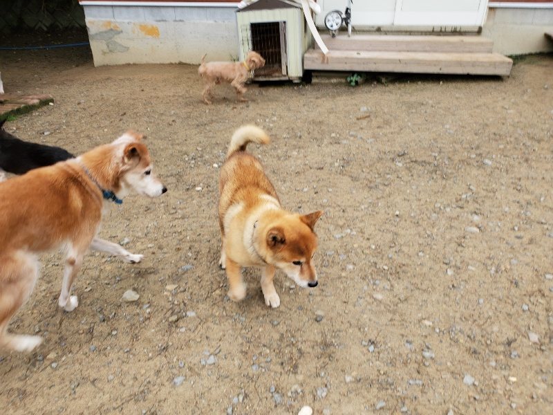 f:id:roukenhome-ann:20191021134435j:plain