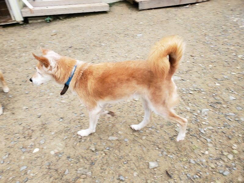 f:id:roukenhome-ann:20191021134440j:plain